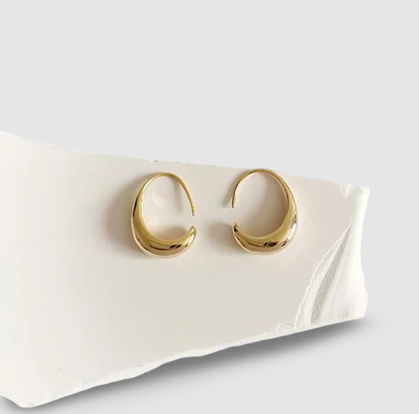 Luxury Earrings~