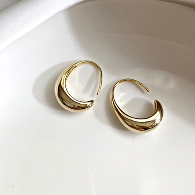 Luxury Earrings~